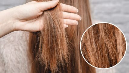 Τι να κάνετε με τα μαλλιά που καίγονται από ένα orya; Πώς πρέπει να φροντίζονται τα επεξεργασμένα μαλλιά;