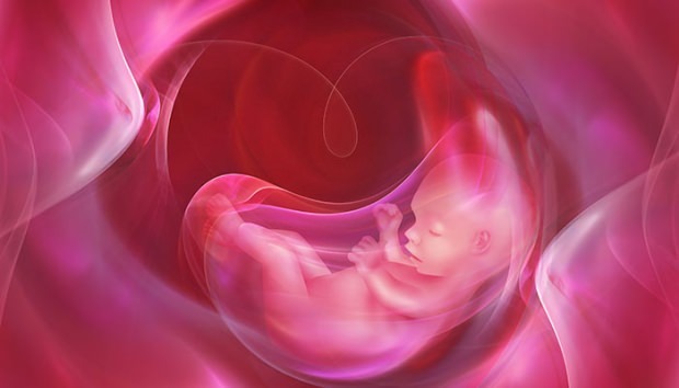 Τι είναι το Placenta Previa; Πώς να κάνετε τη φροντίδα του ομφάλιου λώρου στα μωρά; Εάν ο ομφάλιος λώρος είναι πολύς ...