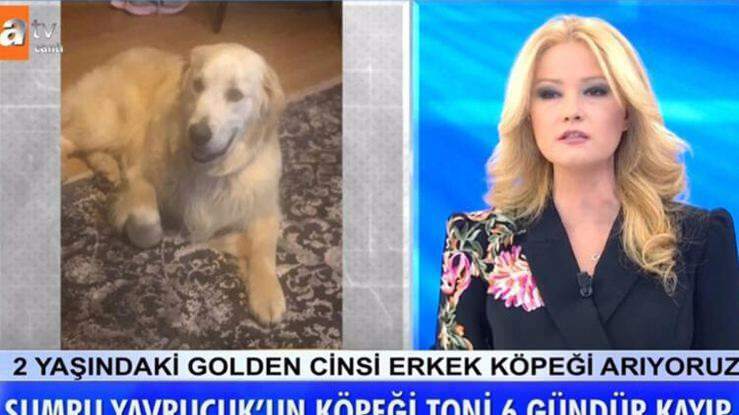 Ο παρουσιαστής Müge Anlı ανακοίνωσε: Ο σκύλος της ηθοποιού Sumru Yavrucuk βρέθηκε ...