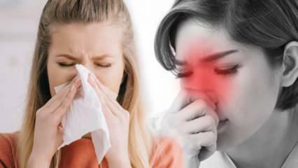 Τι είναι η αλλεργική ρινίτιδα; Ποια είναι τα συμπτώματα της αλλεργικής ρινίτιδας; Υπάρχει θεραπεία για την αλλεργική ρινίτιδα;