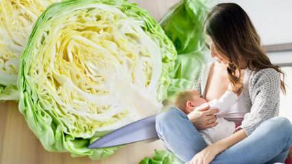 Το λάχανο παράγει αέριο στη θηλάζουσα μητέρα και το μωρό; Μπορούν οι θηλάζουσες μητέρες να πίνουν χυμό λάχανου; 