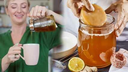 Το τσάι Kombucha εξασθενεί; Πώς να φτιάξετε κομπούτσα για απώλεια βάρους; Οφέλη από το τσάι Kombucha