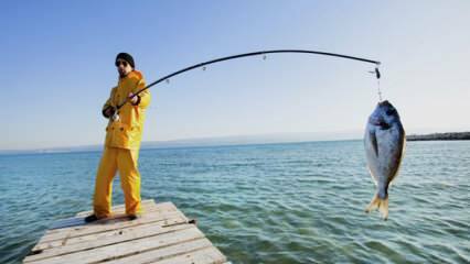 Πώς να ψαρεύεις; Ποια είναι τα κόλπα του ψαρέματος με ένα καλάμι;