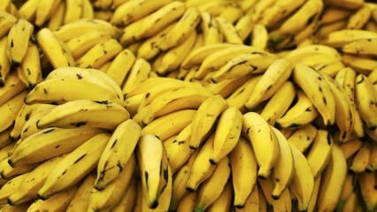 Η φλούδα μπανάνας ωφελεί το δέρμα; Πώς χρησιμοποιείται η μπανάνα στην περιποίηση του δέρματος;