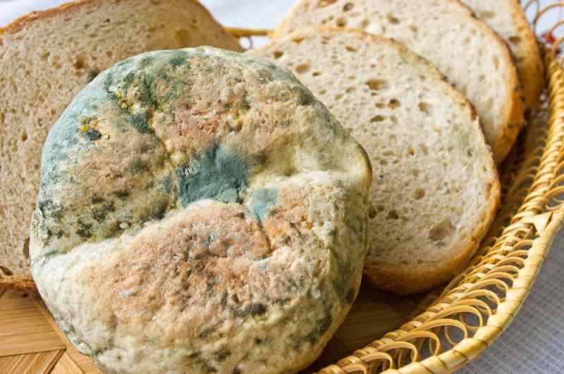 Τρόποι για να αποτρέψετε το ψωμί να πάρει μπαγιάτικο και μουχλιασμένο