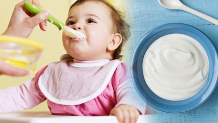 Πώς να κάνετε γιαούρτι για μωρά; Σπιτικές συνταγές γιαουρτιού φρούτων για μωρά