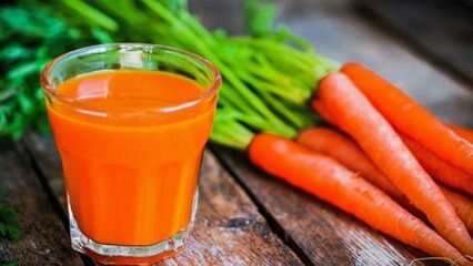 Διατροφή καρότου που παράγει 5 κιλά την εβδομάδα