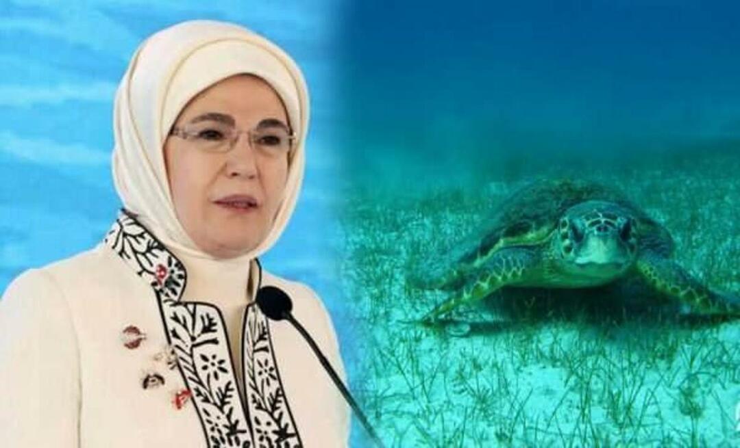 Μοιραστείτε τη «θαλάσσια χελώνα» από την Εμινέ Ερντογάν: «Όσο τους προστατεύουμε, θα συνεχίσουν να ζουν»