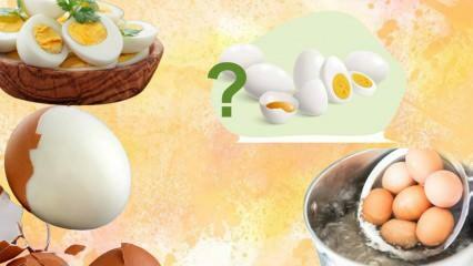 Δίαιτα με βραστά αυγά! Σε κρατάει χορτάτο το αυγό; 12 κιλά σε μια εβδομάδα 