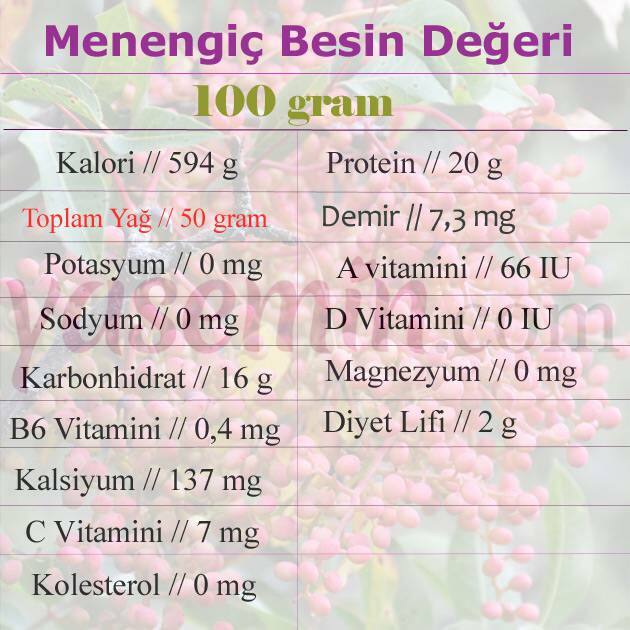 διατροφική αξία του menengiç 