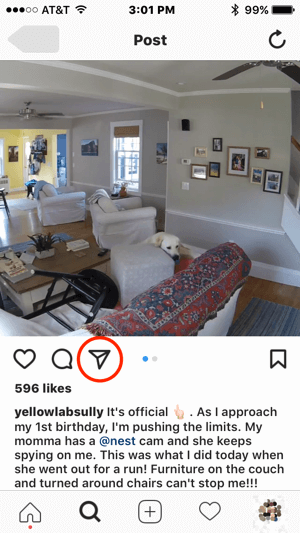 Εάν ο Nest ήθελε να επικοινωνήσει με αυτόν τον χρήστη του Instagram για άδεια χρήσης του περιεχομένου του, θα μπορούσε να ξεκινήσει την επικοινωνία πατώντας το εικονίδιο άμεσου μηνύματος.