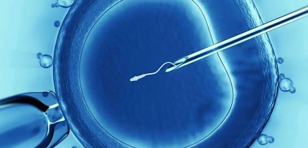 Πώς να κάνετε θεραπεία εξωσωματικής γονιμοποίησης