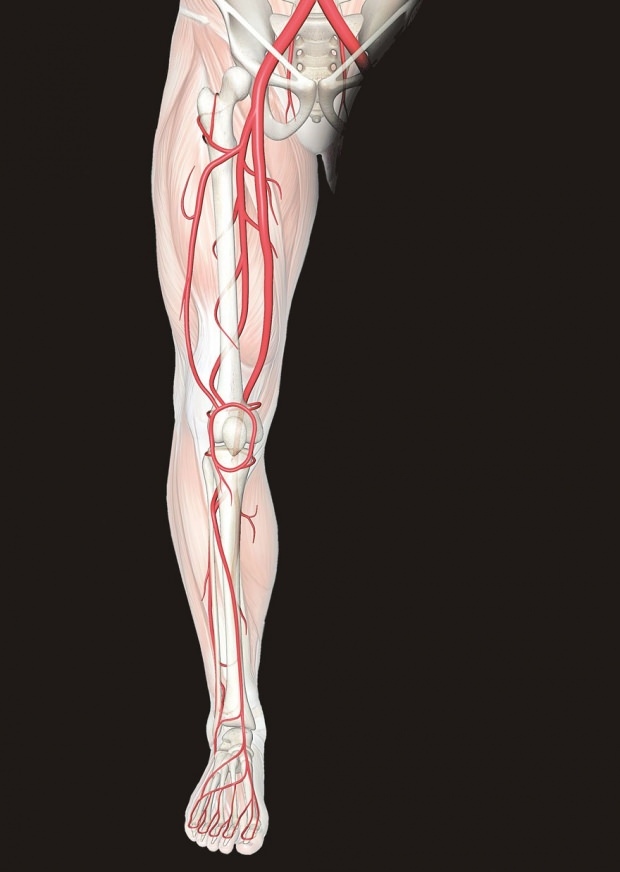 δυσφορία στα νεύρα στα πόδια προκαλεί πόνο στα πόδια