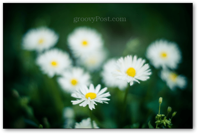 παράδειγμα φωτογραφία bokeh 50mm 50 mm φακός εστίαση φόντου θόλωμα nikkor 50 mm 50mm f / 1,4 1,4 διάφραγμα 