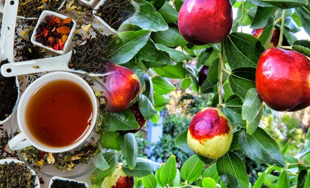 Ποια είναι τα οφέλη του τσαγιού τζιτζιφιές που προτείνει ο Ibn Sina; Σε τι είναι καλό το τσάι από τζιτζιφιές;