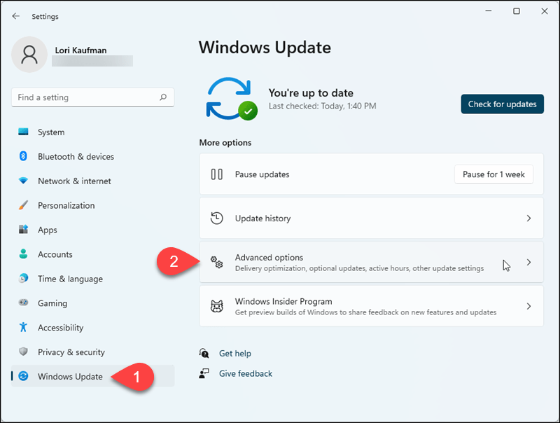 Μεταβείτε στο Windows Update> Σύνθετες επιλογές στις Ρυθμίσεις των Windows 11