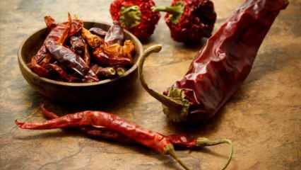 Πώς να στεγνώσει το πιπέρι; Μέθοδοι στεγνώματος πιπεριών στο σπίτι Στέγνωμα πιπεριών στη σκιά 