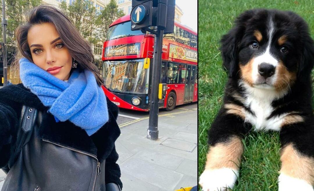 Η ηθοποιός Tuvana Türkay έδωσε τη ζωή της για τον σκύλο της!