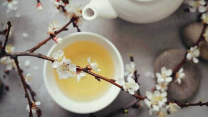 Αδυνάτισμα με λευκό τσάι