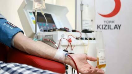 Πού και πώς να δώσετε αίμα; Ποιες είναι οι προϋποθέσεις για την αιμοδοσία