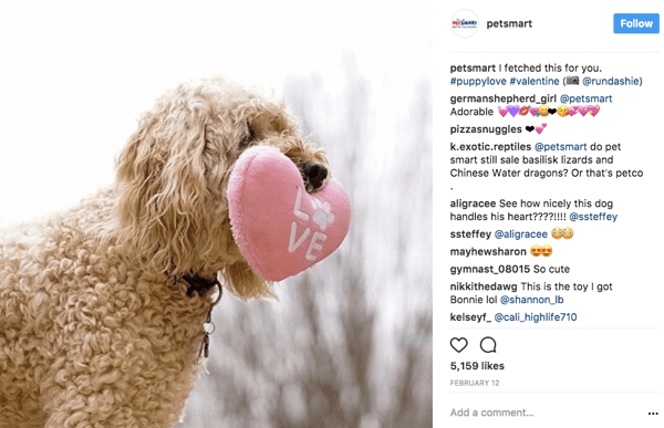 Όταν το PetSmart αναδημοσιεύει φωτογραφίες χρηστών στο Instagram, δίνουν πίστωση φωτογραφίας στην αρχική αφίσα της λεζάντας.