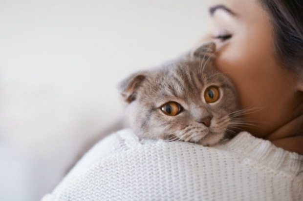 Πώς να αποφύγετε το άγχος των γατών; 