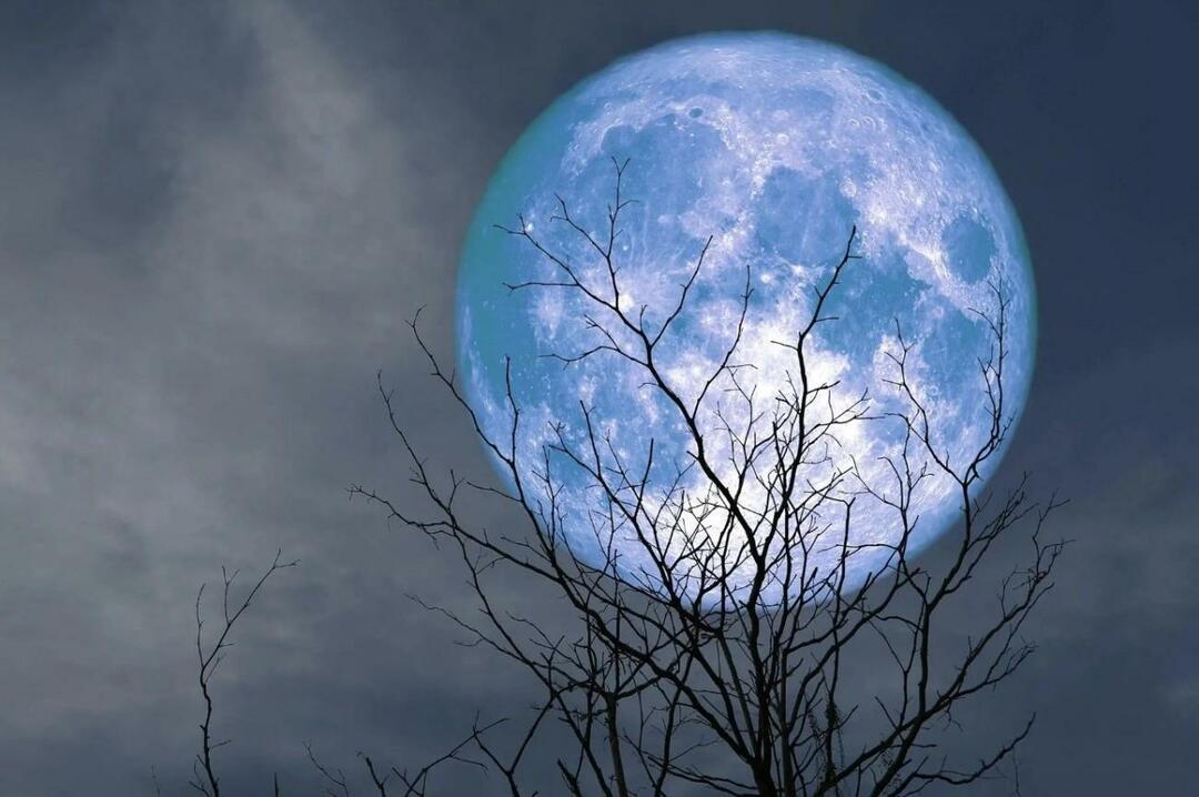 Τι είναι το Blue Moon