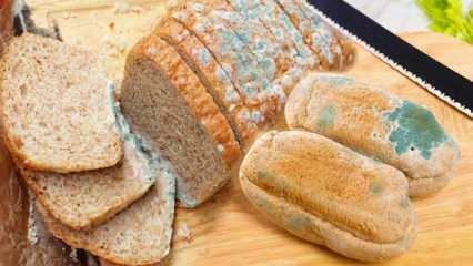 Πώς να αποτρέψετε το μούχλασμα του ψωμιού το Ραμαζάνι; Τρόποι για να αποφύγετε το μπαγιάτικο και το μουχλιασμένο ψωμί