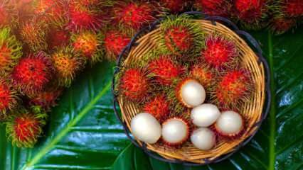 Τι είναι το Rambutan; Ποια είναι τα οφέλη του καρπού Rambutan; Πώς να φάτε rambutan;