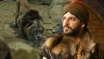 Ποιοι είναι οι παίκτες του Bozkır Lion Celaleddin; Ποιο είναι το θέμα του Steppe Lion Celaleddin;