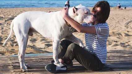 Η νεαρή ηθοποιός Alina Boz αποχαιρετά το νεκρό της σκυλί! Ποια είναι η Alina Boz;