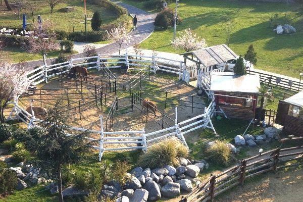 Μακρινή άποψη του My Village Horse Farm 