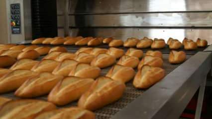 Οι ειδικοί προειδοποίησαν: Βάλτε τα ψωμιά στο φούρνο 90 ​​μοιρών για 10 λεπτά
