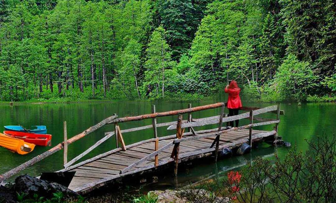 Πού είναι το Artvin; Πού να πάτε στο Artvin; Ποια είναι τα μέρη που πρέπει να επισκεφτείτε στο Artvin;