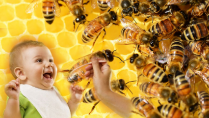 Πώς πρέπει να χορηγείται το μέλι στα μωρά; Μην χορηγείτε πριν από 1 έτος