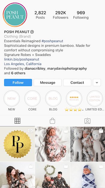 παράδειγμα βιογραφικού Instagram βελτιστοποιημένο για επιχειρήσεις