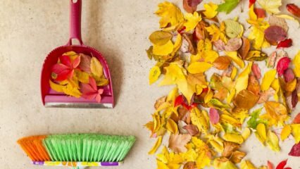 Πρακτικές μέθοδοι καθαρισμού του φθινοπώρου
