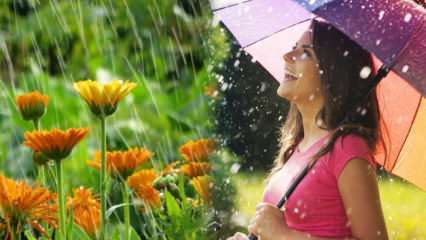 Θεραπεύει η βροχή του Απριλίου; Ποιες είναι οι προσευχές για ανάγνωση στο νερό της βροχής; Οφέλη της βροχής Απριλίου