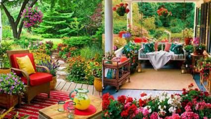 Λουλούδια που μπορείτε να χρησιμοποιήσετε στον κήπο και τα μπαλκόνια σας το φθινόπωρο!