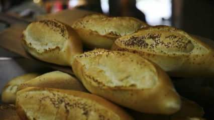 Πώς αξιολογείται το παλιό ψωμί; Συνταγές φτιαγμένες με μπαγιάτικο ψωμί