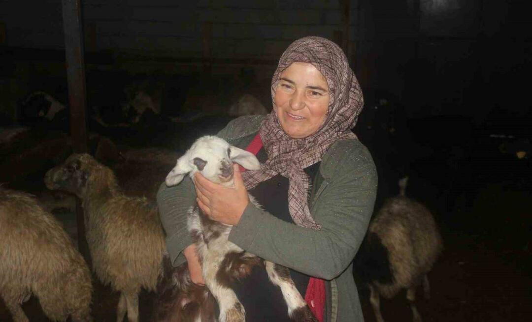 Κτηνοτροφεί με τη στήριξη που λαμβάνει από το κράτος! "Χάρη σε αυτό το έργο, αγοράσαμε 100 πρόβατα"