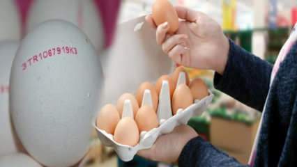 Πώς είναι κατανοητό το οργανικό αυγό; Τι σημαίνουν οι κωδικοί του αυγού;