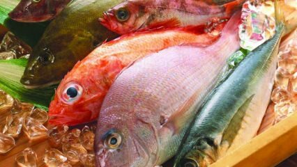 Επιδράσεις των ψαριών στην ασυλία! Ποια είναι τα οφέλη των ψαριών; Πώς να καταναλώσετε τα πιο υγιεινά ψάρια;