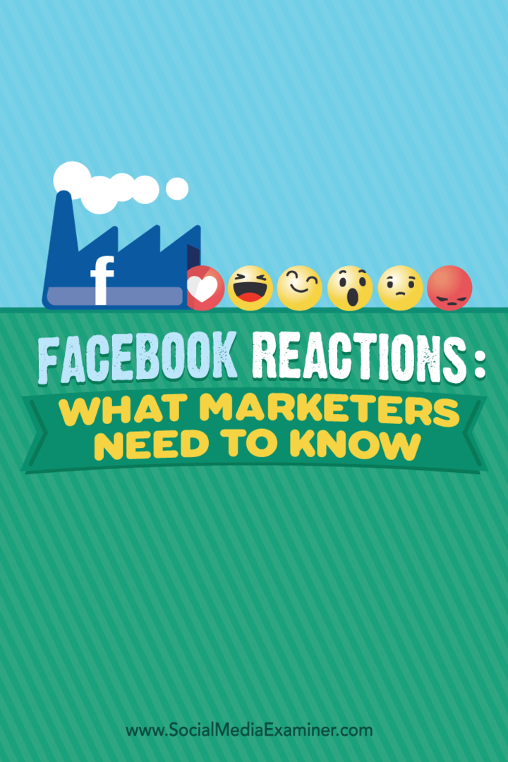 Αντιδράσεις στο Facebook: Τι πρέπει να γνωρίζουν οι έμποροι: Εξεταστής κοινωνικών μέσων