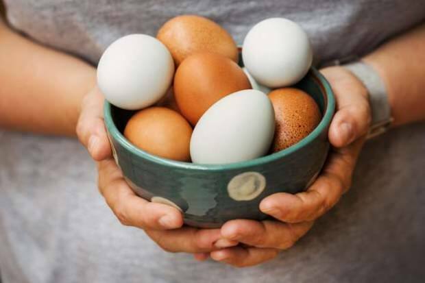 Πώς γίνεται η βιολογική ανάλυση αυγών;