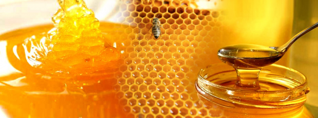 πρέπει να χορηγηθεί μέλι στα μωρά;