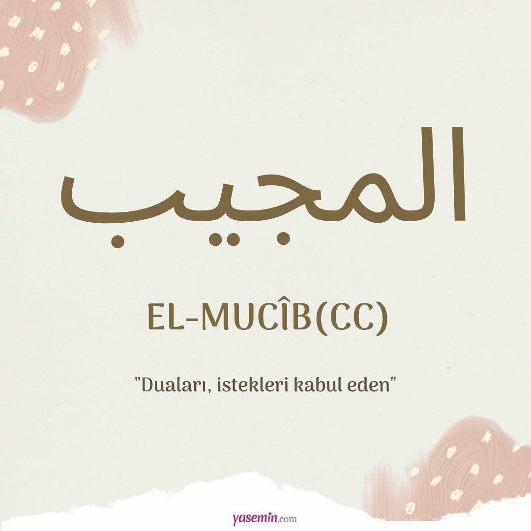 Τι σημαίνει η λέξη al-Mujib (cc);