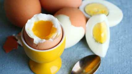 Ποιες είναι οι επιπτώσεις της κατανάλωσης 2 αυγών σε sahur κάθε μέρα στον οργανισμό;