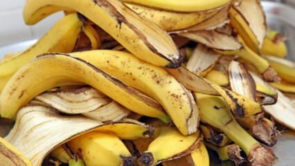 Ποια είναι τα οφέλη της μπανάνας; Πόσα είδη μπανανών υπάρχουν; Άγνωστες χρήσεις φλούδας μπανάνας! 
