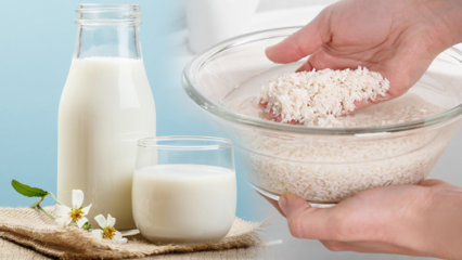 Πώς να προετοιμάσετε γάλα ρυζιού που καίει λίπος; Μέθοδος αδυνατίσματος με γάλα ρυζιού